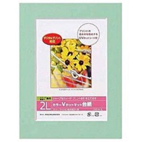 ナカバヤシ Vカットマット台紙 Digio (2L/グリーン) DGVM-2L-G