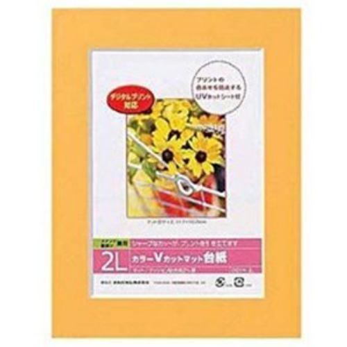 ナカバヤシ Vカットマット台紙 Digio (2L/オレンジ) DGVM-2L-O