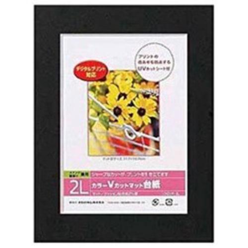 ナカバヤシ Vカットマット台紙 Digio (2L/ブラック) DGVM-2L-D