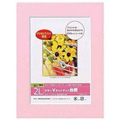 ナカバヤシ Vカットマット台紙 Digio (2L/ピンク) DGVM-2L-P