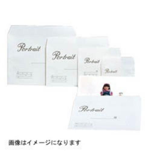 ハクバ MPB-GK 写真袋 グランドカビネサイズ (100枚入) グレー