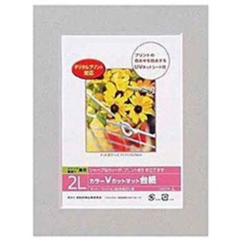 ナカバヤシ Vカットマット台紙 Digio (2L/グレー) DGVM-2L-N